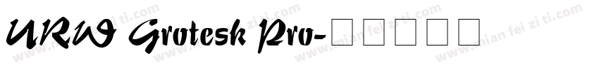 URW Grotesk Pro字体转换